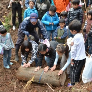 伐採参加時の写真。福田さんが参加するNPOでは、家を建てない人も参加できる森林イベントを随時開催している