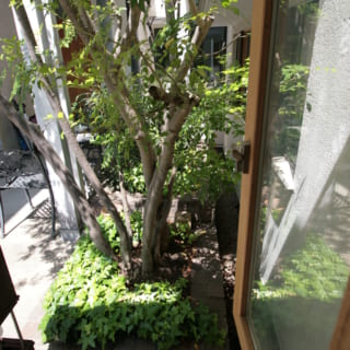 応接ルームのテーブル脇の小窓。ほかの部屋の窓と視線がぶつからず、それでいて植込みの緑を眺められる配置