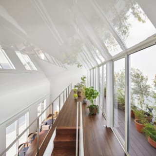 日当たり抜群の2階では、Hさまご夫妻が大切にしている植物がすくすく育つ。テラスの緑から天井に映る緑まで、きらめく緑に180度包まれる空間。万華鏡の中に入ったような楽しさがある
