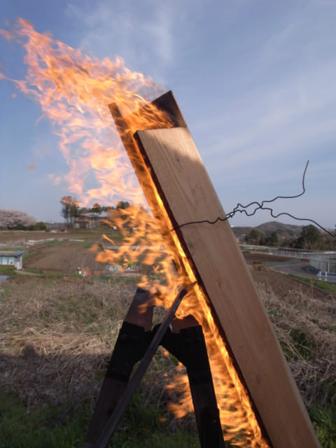 杉を焼く風景。杉を三角形に組み固定して、下から火をつける