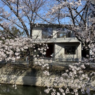 見沼代用水東縁に面したT邸。春には桜の花が手に届きそうなほど間近に迫り、目を楽しませてくれる