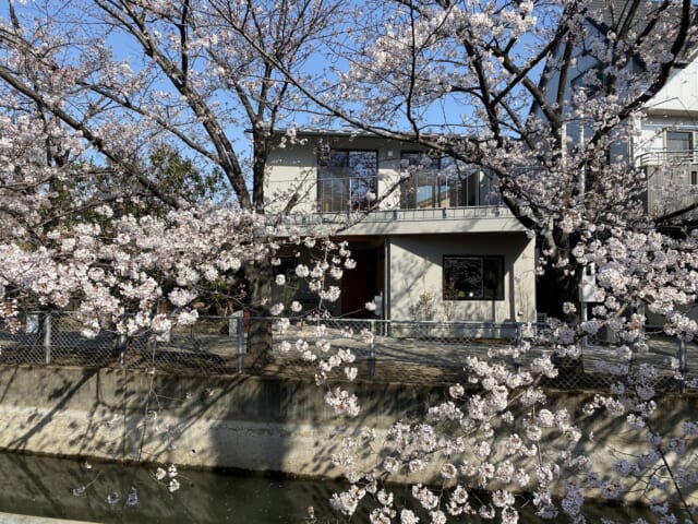 見沼代用水東縁に面したT邸。春には桜の花が手に届きそうなほど間近に迫り、目を楽しませてくれる