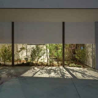 中庭には垂れ壁を設けることで、プライバシーにも配慮。夜になると照明によって照らされた木の影がアプローチに映える