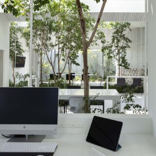 樹木をパーティションに見立てたオフィスは各デスクの独立感がありながら、空間を分断し過ぎない点が魅力