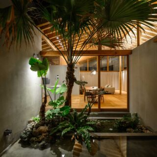 玄関から中庭を見た景色。「沖縄らしい建築」を意図し、沖縄の在来種である植物を植えている