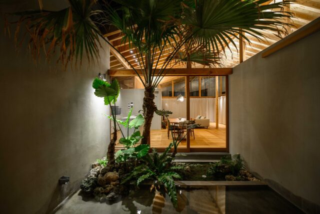 玄関から中庭を見た景色。「沖縄らしい建築」を意図し、沖縄の在来種である植物を植えている