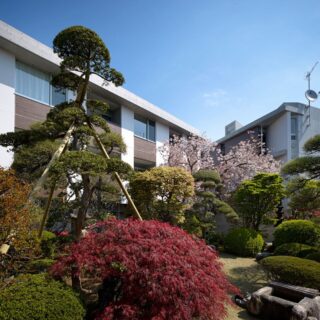 敷地の一部に建てられた２棟の賃貸住戸。賃貸住戸からは、庭にいる人の様子がうかがえず、庭の木々だけが見えるように視線をコントロールした