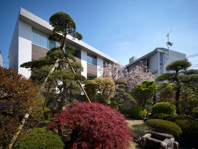 敷地の一部に建てられた２棟の賃貸住戸。賃貸住戸からは、庭にいる人の様子がうかがえず、庭の木々だけが見えるように視線をコントロールした