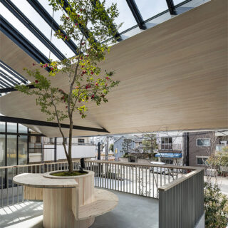 中二階に設けられた木漏れ日テラス。天窓からの光が植栽を柔らかく照らす。社員や訪れた人がホッと一息。
