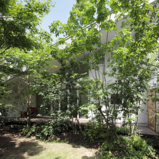 東京の雑木林をテーマにした庭。茂った樹々が隣家からの視線を目隠しするほか、適度に日差しを遮ったり、季節の移ろいを感じさせてくれたりといった役割も。
