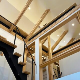 メインキャットウォークから別のキャットウォークへ。猫の気を引く場所が動線上に次々現れ、退屈しない