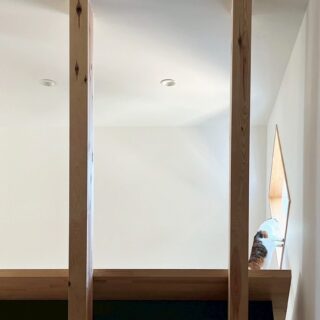 小屋裏のメインキャットウォークの両端には猫窓が。外を眺める猫のかわいい姿を見られるのも、この家の魅力