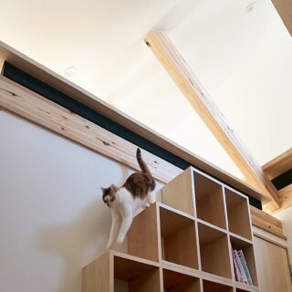 小屋裏からは猫階段のほか、洋室の中にある階段状収納を使って2階に下りてくることも可能