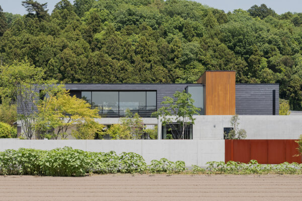 余白を生むずれ重なる箱の家 共鳴し合う建築と庭