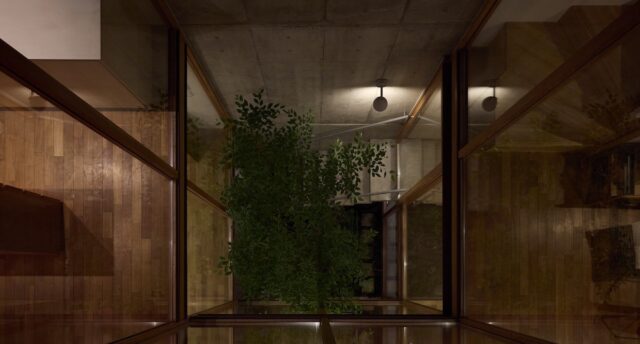 屋上庭園から中庭を見下ろす。ガラス×木製窓枠で囲まれた吹抜けは繊細なガラスの井戸のよう。レトロモダンな風情あふれる美しい光景