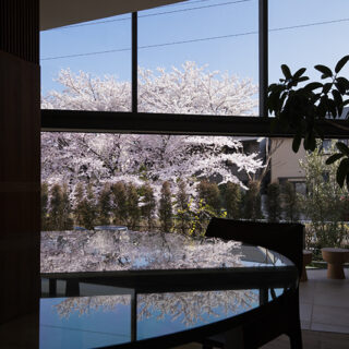 竹内さん自らの手で構造設計・制作した土台をもつガラステーブル。ガラスに映る桜も趣深い。
