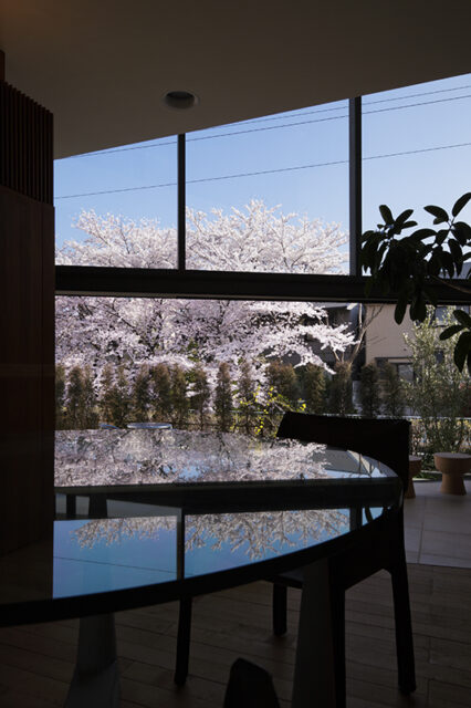 竹内さん自らの手で構造設計・制作した土台をもつガラステーブル。ガラスに映る桜も趣深い。
