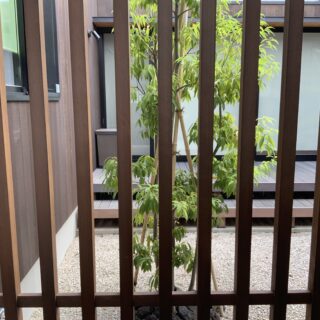 車庫の後ろに位置する、中庭のメンテナンス用の格子戸。現在は植えられた樹木がさらに伸びているので、外から中庭が見えることもない