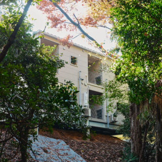 斜面下方に広がる森から、森棟を見る。水の通り道を確保する高床式の基礎で、地面から少し浮いているのがわかる。自然のままの森には野鳥やかわいい小動物も現れるそう。鳥のさえずりをBGMにのんびりくつろぐリゾート感たっぷりの暮らしが待っている