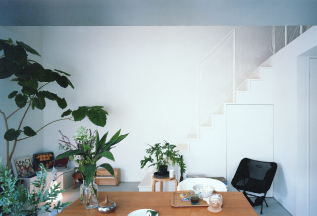 ホールは、２つの区画にまたがる領域。リビングダイニングとして家族が憩う場でもあり、来客が集まるパブリックスペース。数多くの植物が彩を与えてくれている。