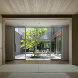 和室から望む中庭。窓枠を額縁に見立てたその光景は、まるで季節の移ろいを描いた一幅の絵画のよう。