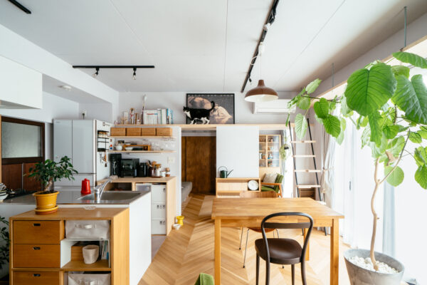 施主と建築家の共同作業で叶えた 住まう家族も猫たちも心地よく共生する家