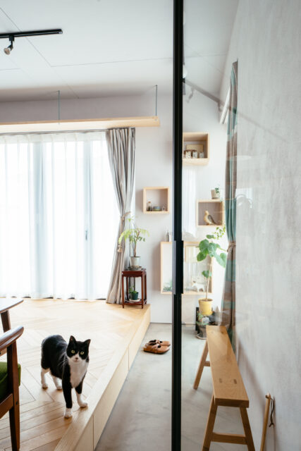 玄関から土間が一直線に伸びる。この土間は陽の光を浴びながら寛げるインナーテラスとしての表情をもつ。猫が出迎えてくれたフローリング下には、靴収納の引出しがある。