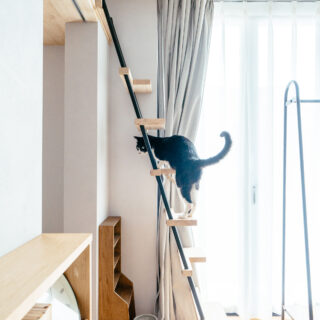 ロフトの階段は普段はこの位置に。幅が互い違いになっており、猫のステップとしても使えるよう原﨑さんが考案した。