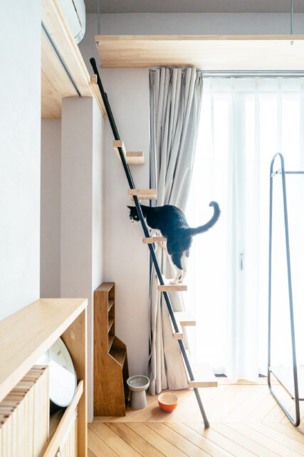 ロフトの階段は普段はこの位置に。幅が互い違いになっており、猫のステップとしても使えるよう原﨑さんが考案した。